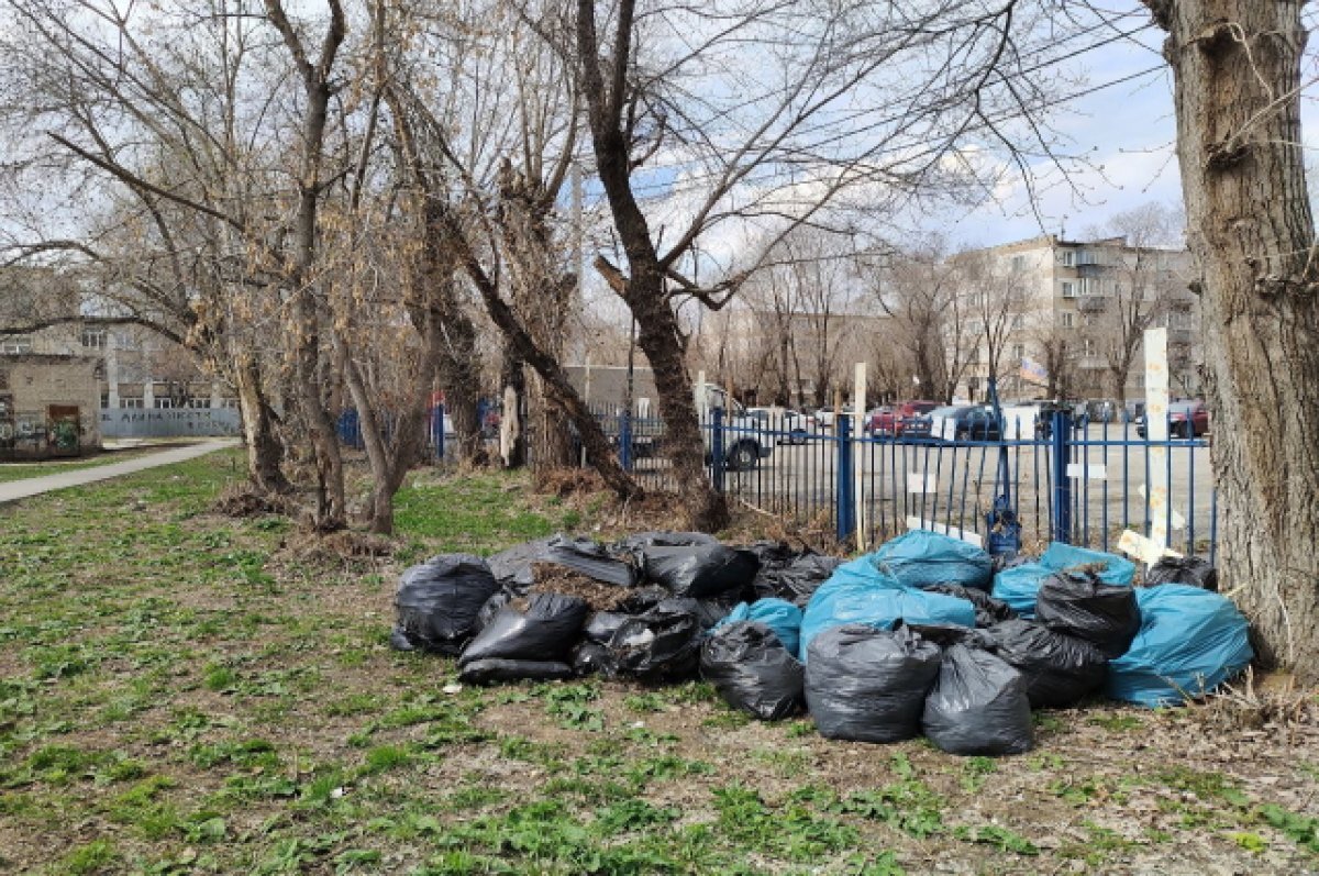    В Самаре общегородской весенний субботник состоится 22 апреля