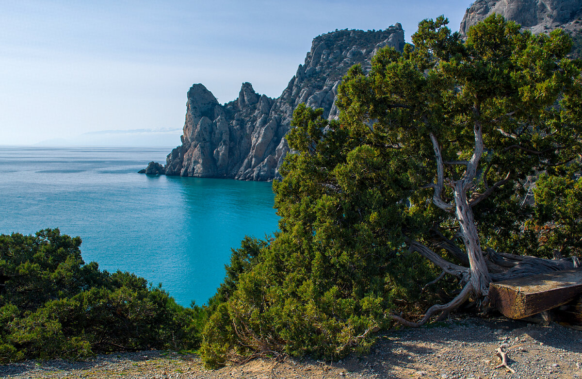 Новый свет Крым часовня Луки Крымского