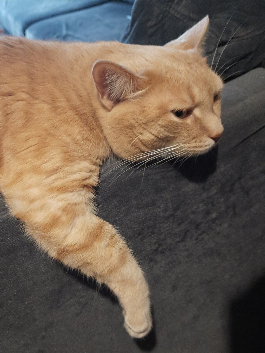 Сразу видно, кто пересаживал, а кто бездельничал ))