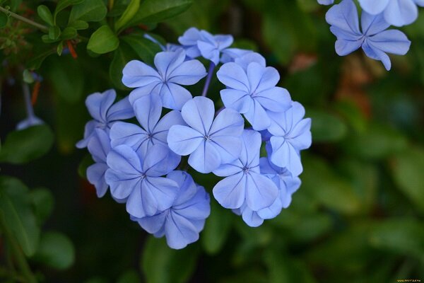 Фото из Интернета