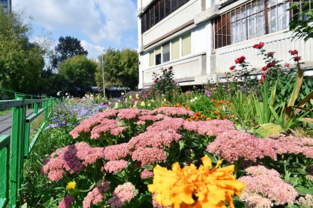    Депутат ГД Чаплин рассказал, законны ли палисадники под окнами многоэтажек