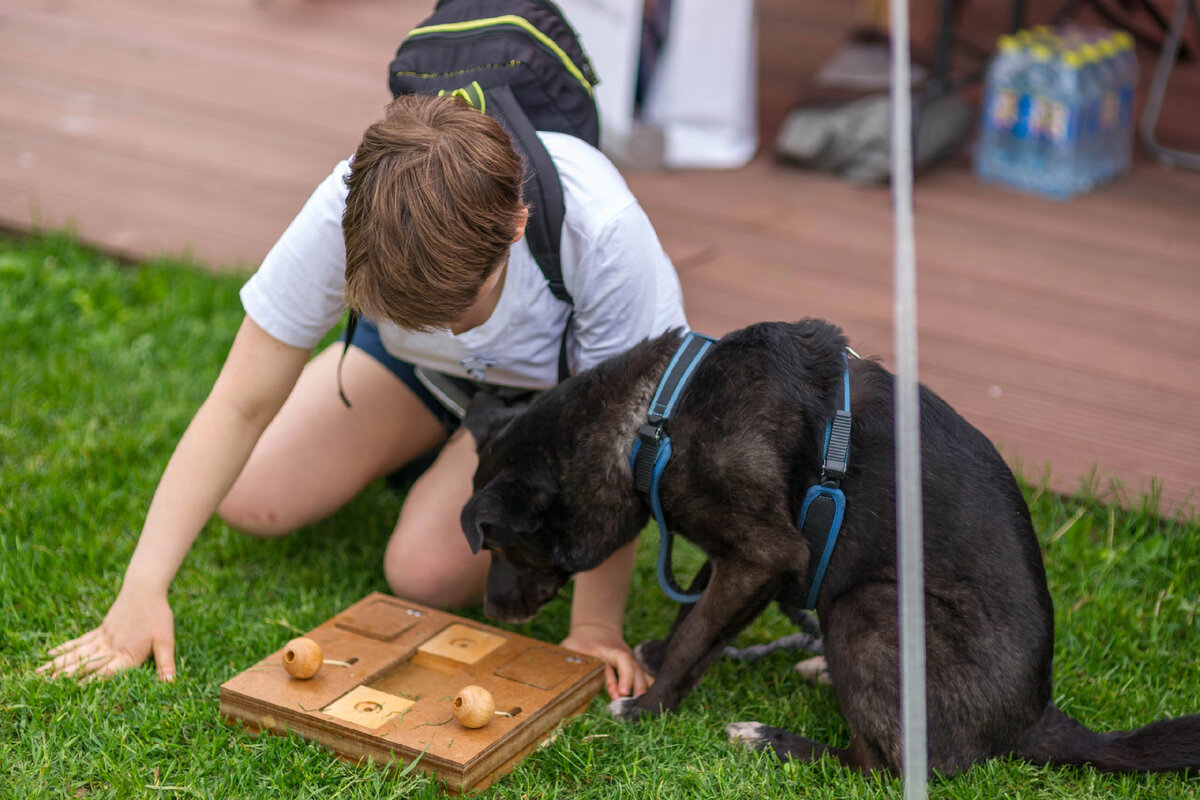 Совместные занятия укрепляют взаимопонимание.