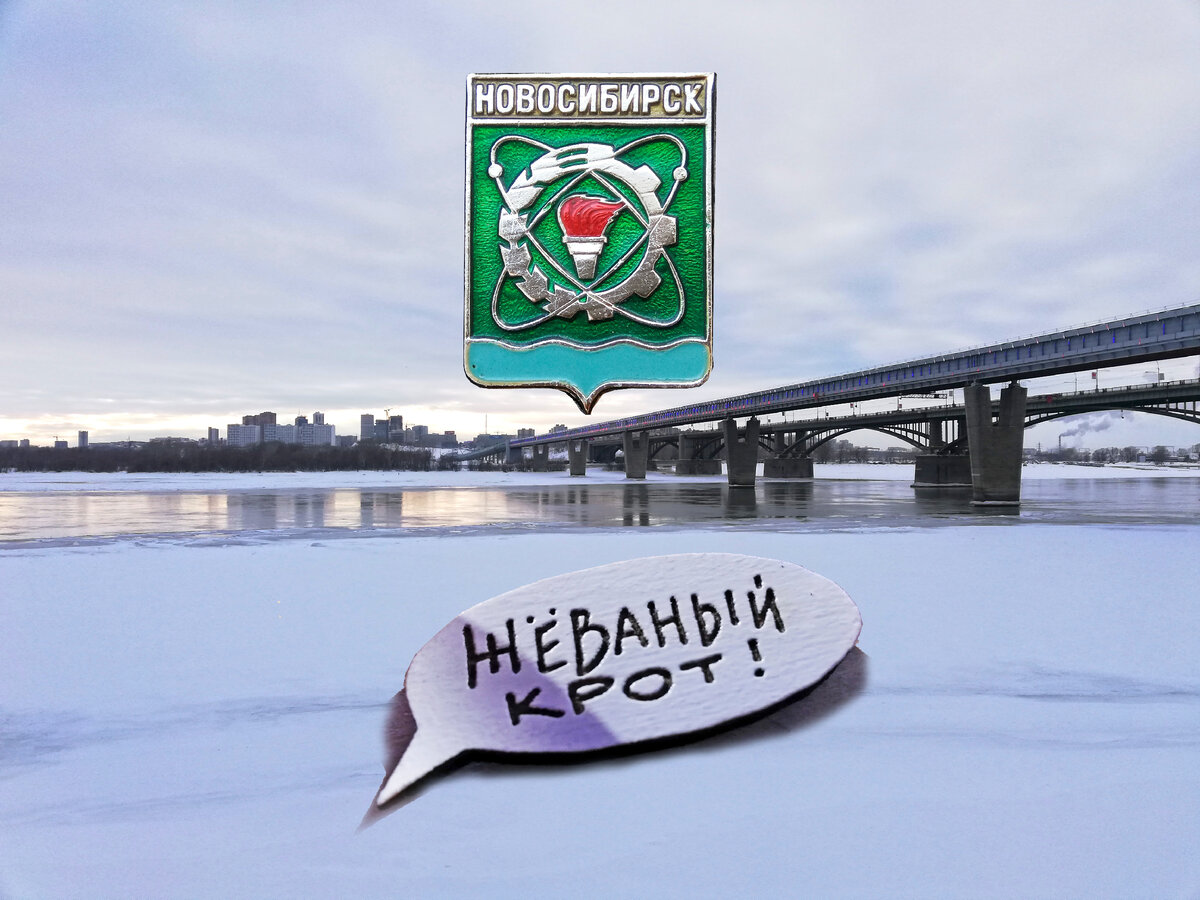 Сверху - советский "гербовый" значок, внизу - современный новосибирский сувенир.