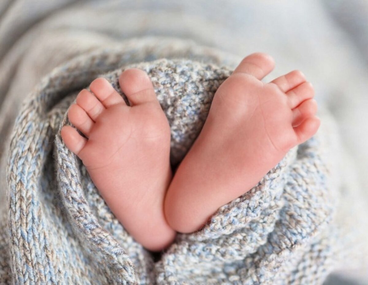 Фото с ресурса https://mgazeta.com