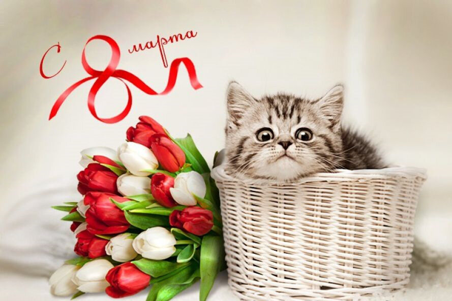 Восьмёрка действительно выглядит весьма женственно. Но дело не в этом. Фото: a.d-cd.ne