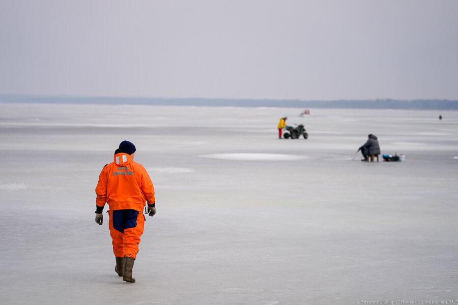 Фото: Виталий Невар / Новый Калининград