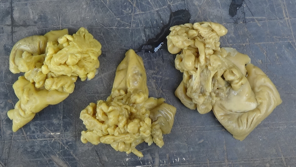 Силиконовые формы для гипсового литья. Как отлить ребенка. Как отлить ребенка. Как отлить ребенка. Как отлить ребенка.