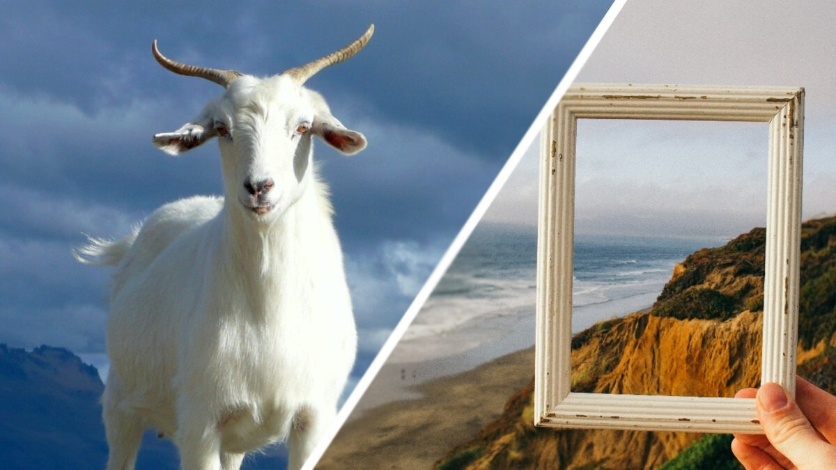    Самые странные подарки на 8 марта