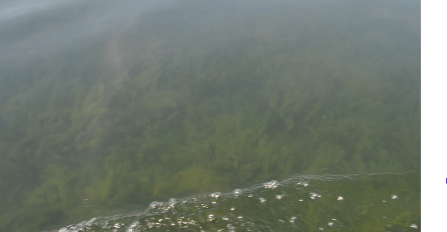 Вода озера Кандрыкуль чистая. Фото во время прогулок на лодке