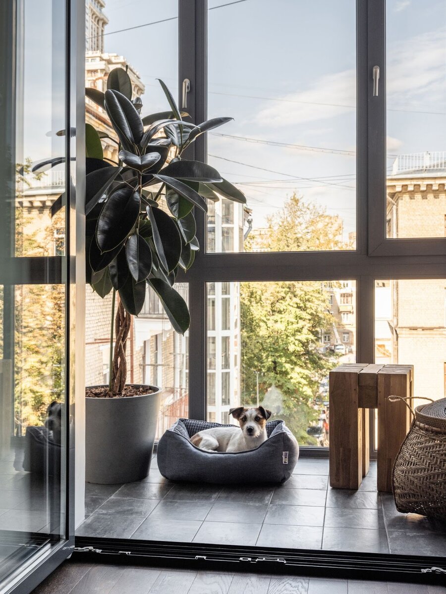 Ремонт для холостяка в одной из старых квартир Москвы: ДО и ПОСЛЕ ...