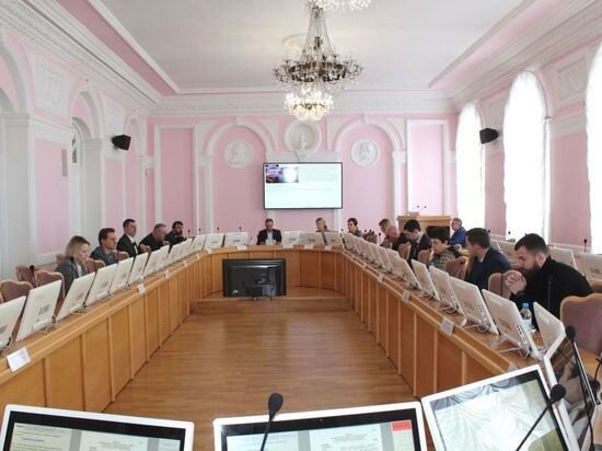     Заседание комитета по вопросам экономического развития. Фото пресс-службы Омского городского совета