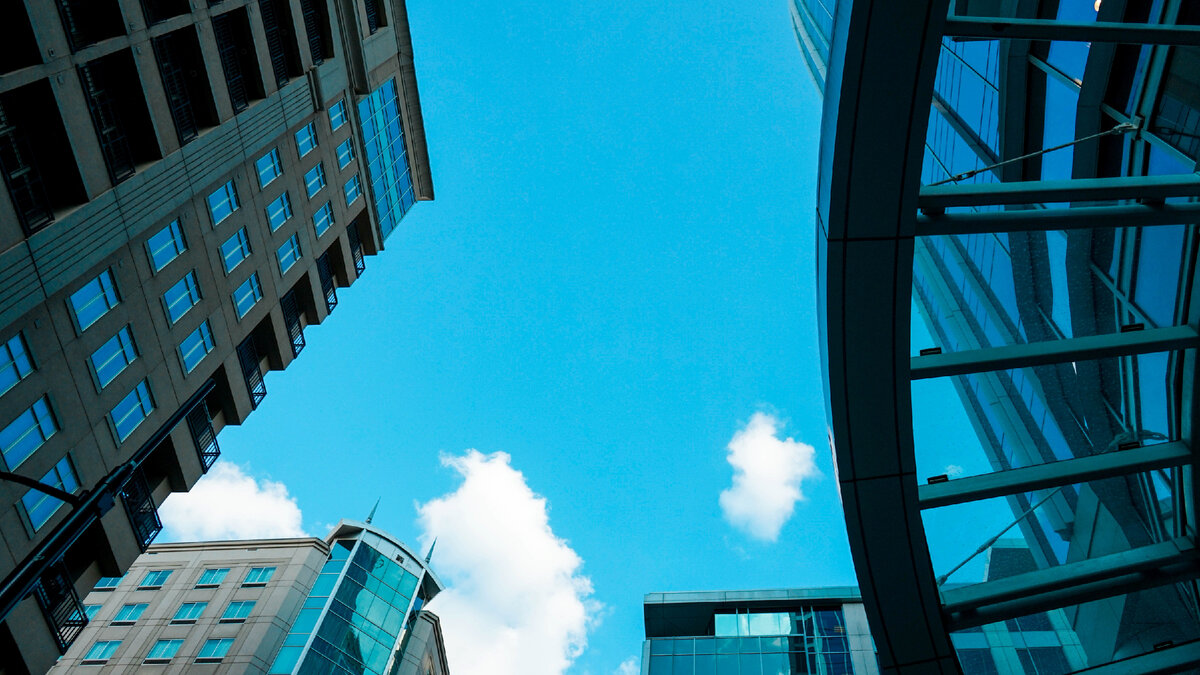 Photo by Tai's Captures on Unsplash