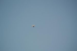    Фото: flickr.com Ольга Суханова