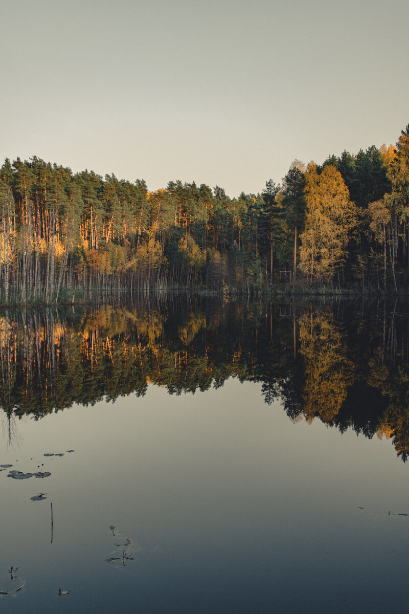 ".. настоящее природное зеркало!"