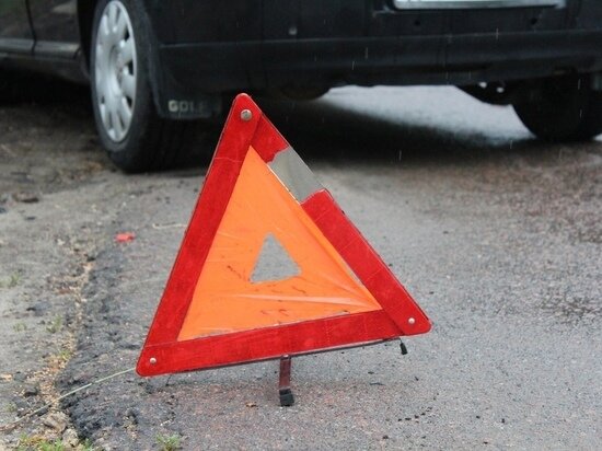     Фото: Василий Осипов/«МК в Черноземье»