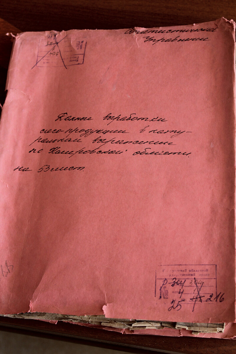 Так могут выглядеть архивные дела