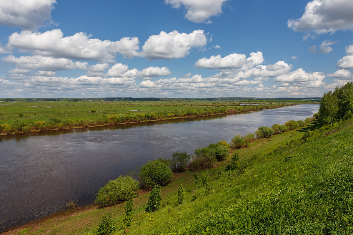 Пижма кировская область. Река пижма Нижегородская область. Река пижма Кировская. Река пижма Кировская область приток Вятки. Пижма (приток Вятки).