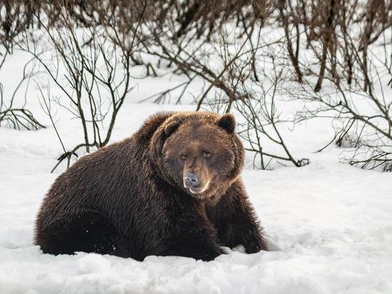 ФОТО: UNSPLASH.COM 