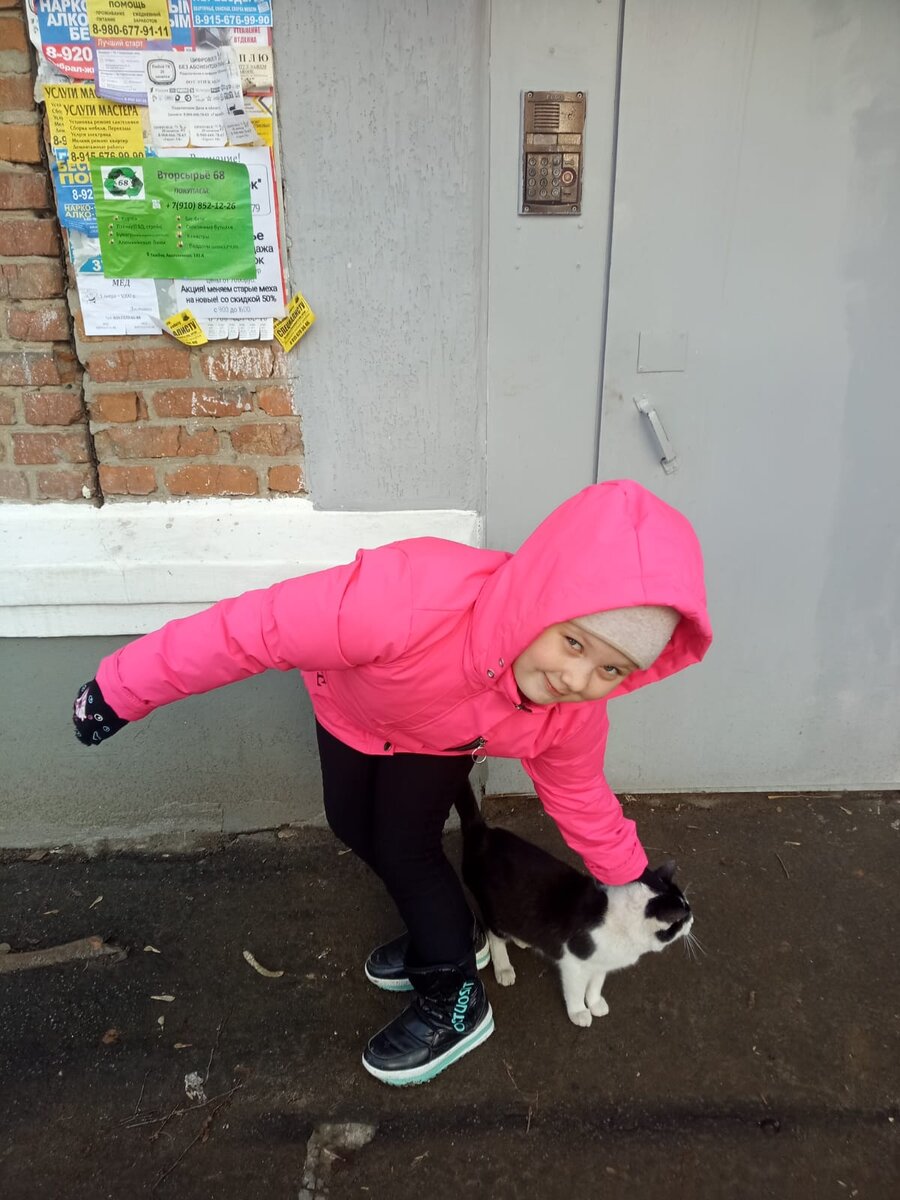 покормить бездомного кота- доброе дело, посильное и для ребенка 