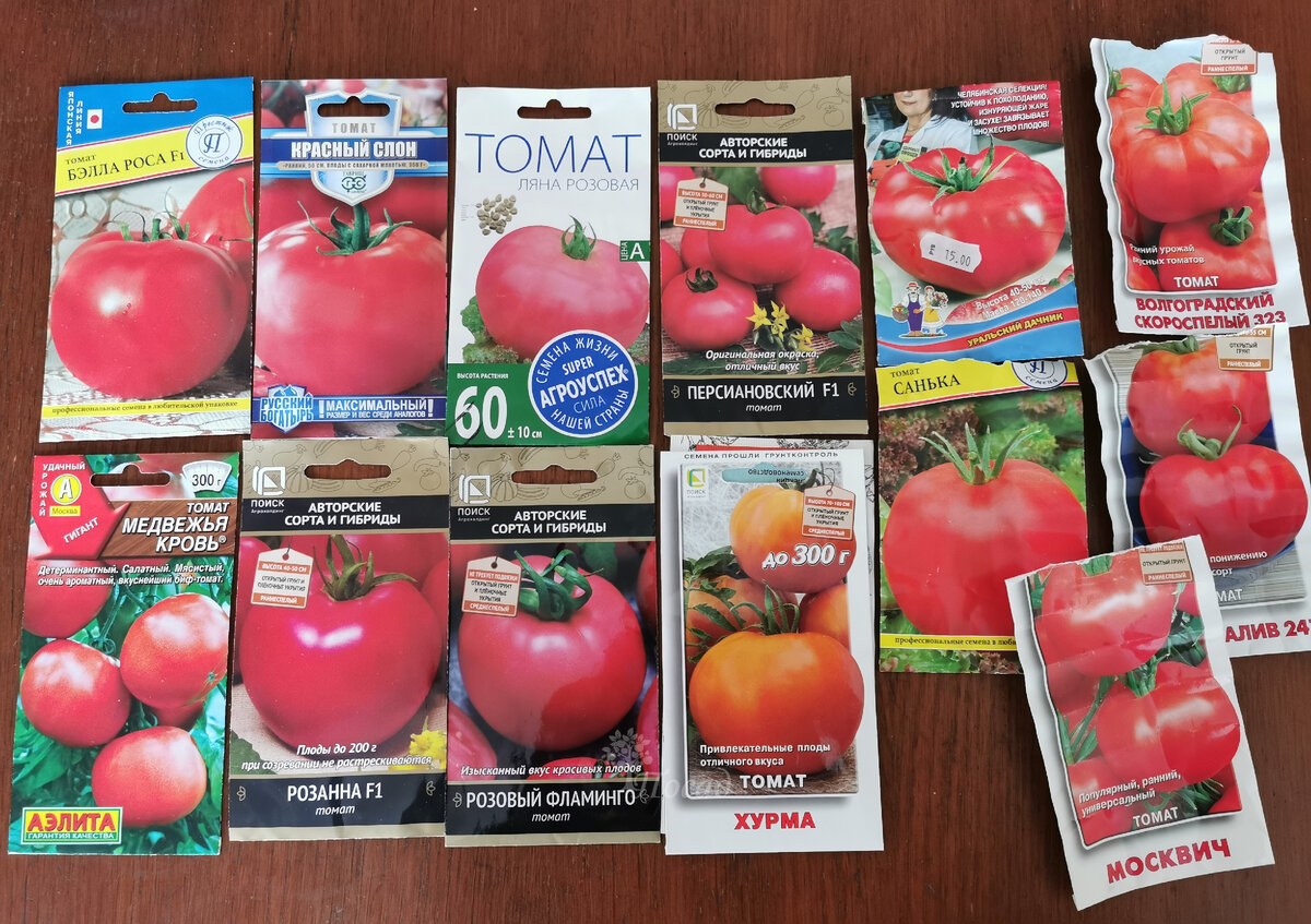 Всё, что напокупала и старенького немного.