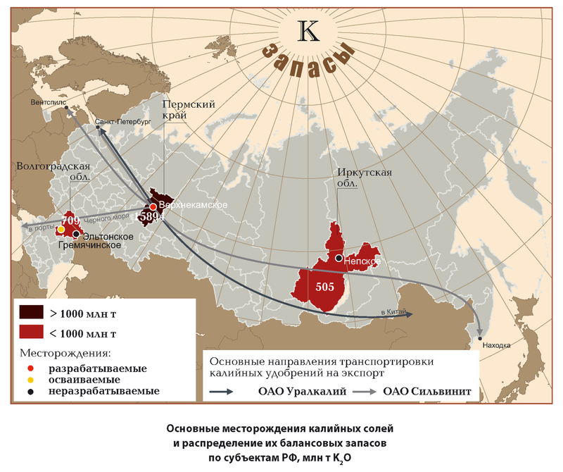 Лэпбук «Соль» (6 фото). Воспитателям детских садов, школьным учителям и педагогам - мамаияклуб.рф