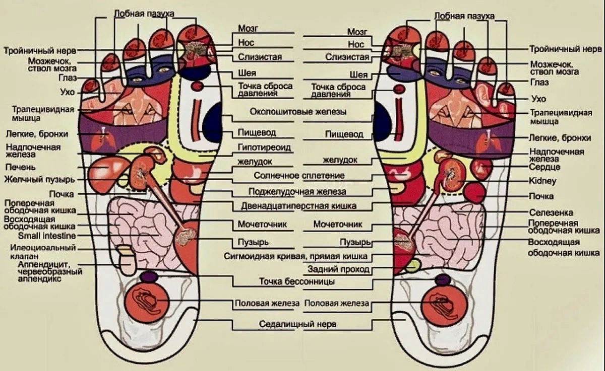 Порно фото гимнастки раздвигают ноги