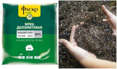 Взято из общего доступа