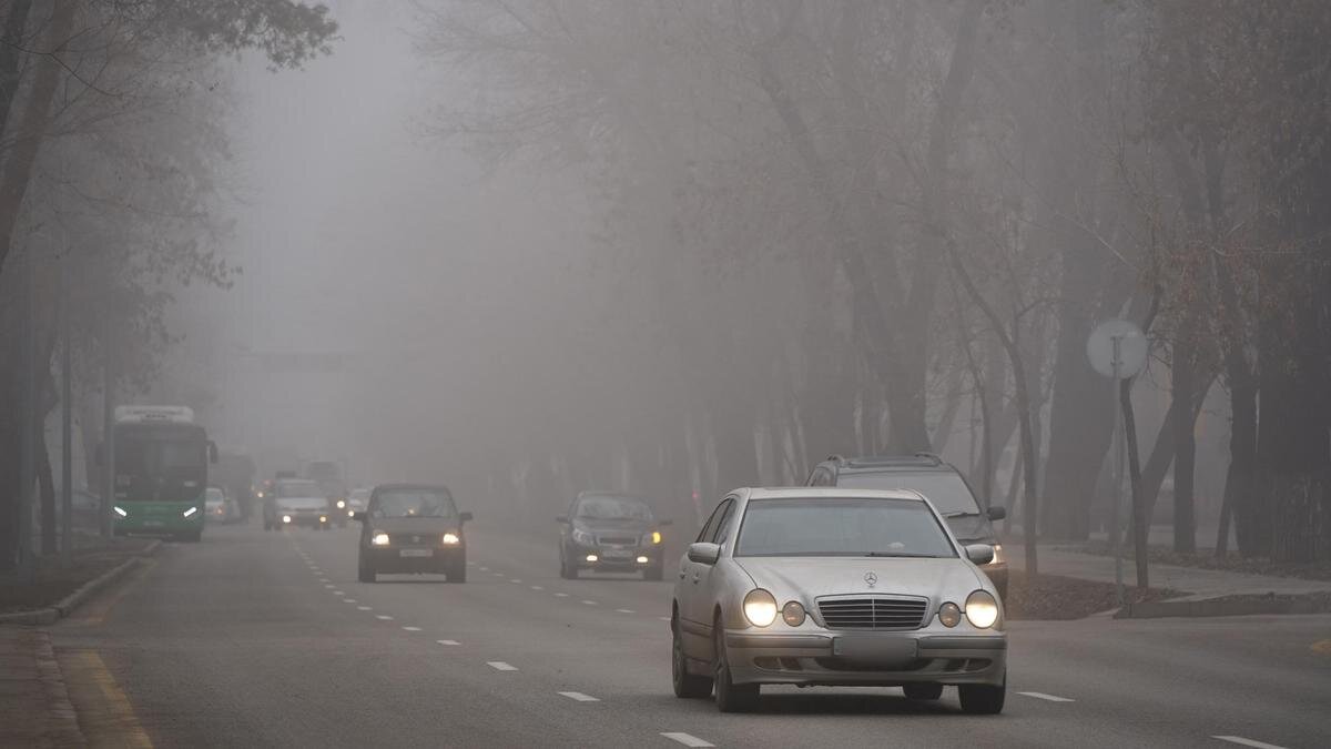    Туман в Алматы:NUR.KZ/ Владимир Третьяков