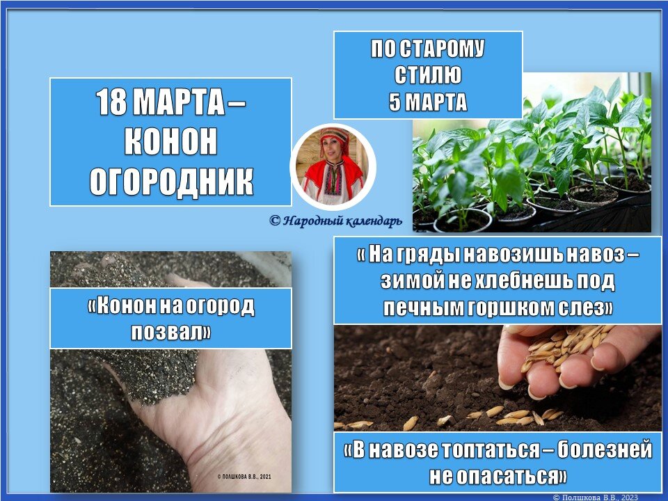 © Полшкова В.В., 2023 