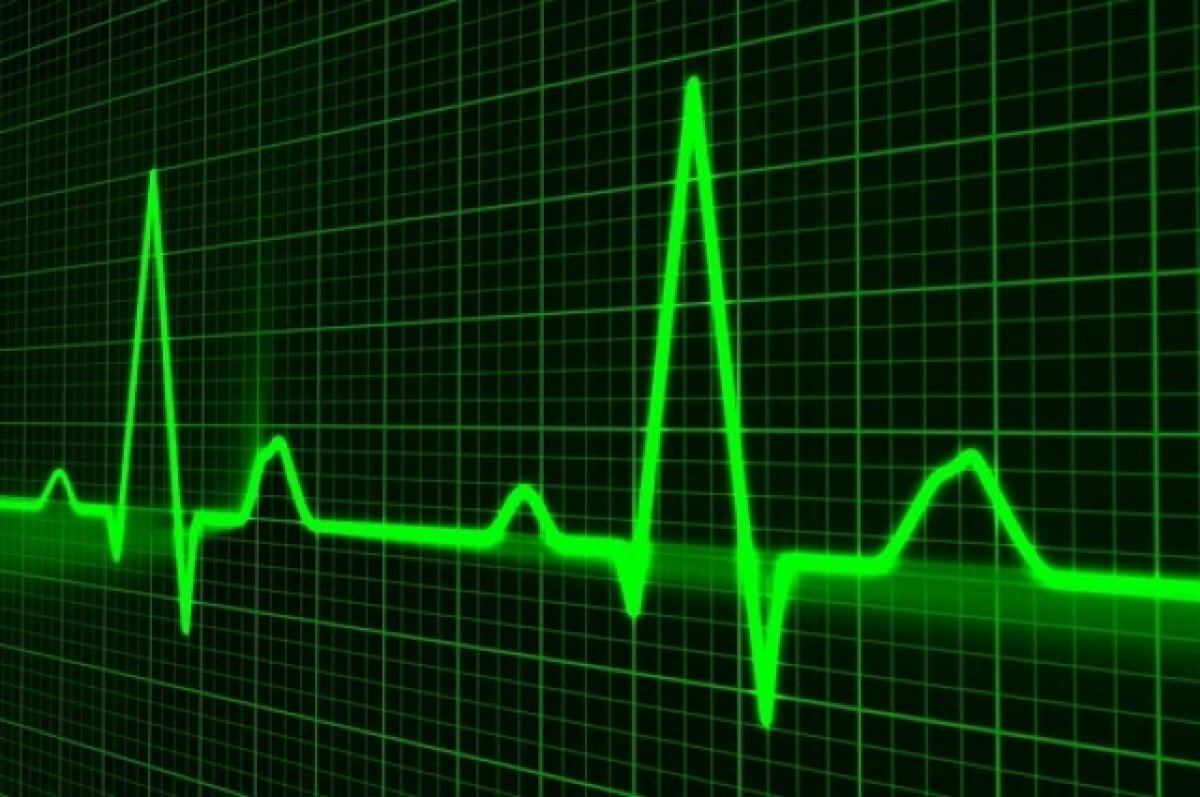    Возможную причину смерти девочки на школьном уроке назвали в Смольном