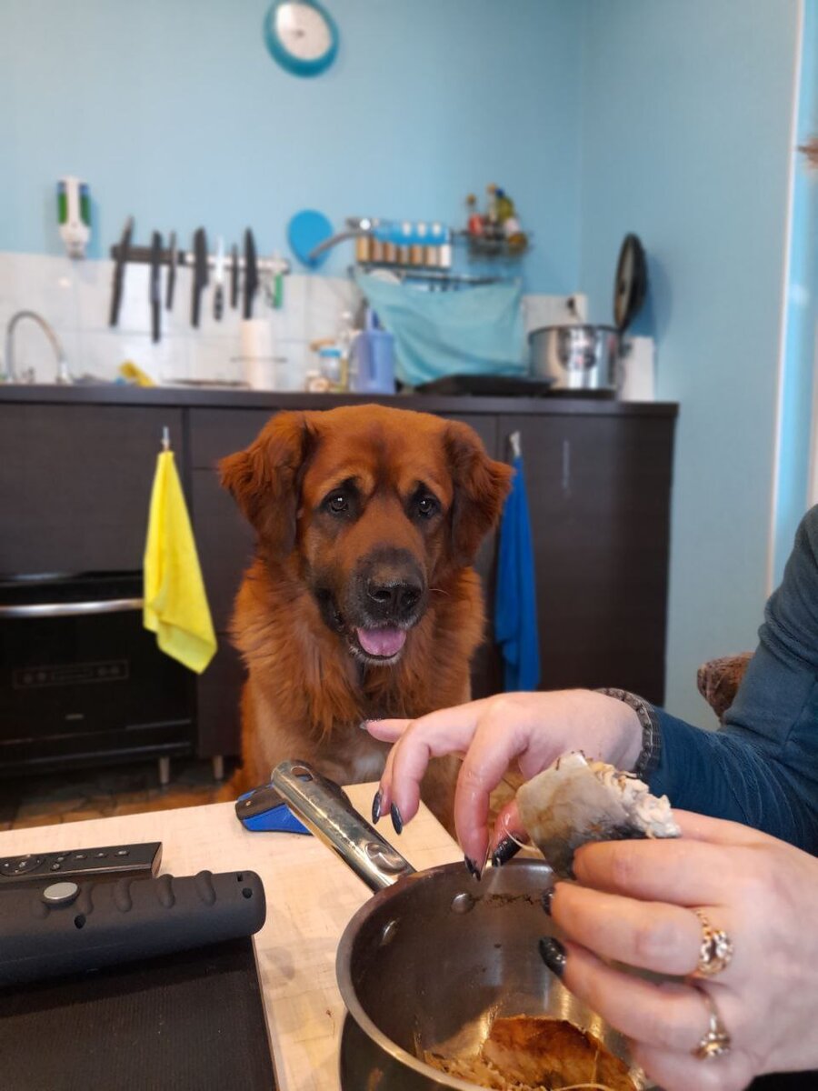 Вот с таким лицом он в дырку смотрел, разве что чуть мрачнее