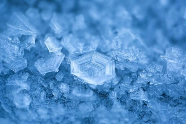    Фото: pixabay.com