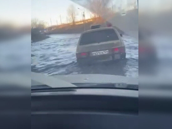     Фото: скриншот видео t.me/vibornaroda.