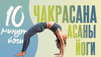Асаны йоги для начинающих | Чакрасана | Секреты освоения моста с Люба Йога