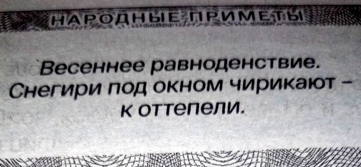 Видели снегирей?