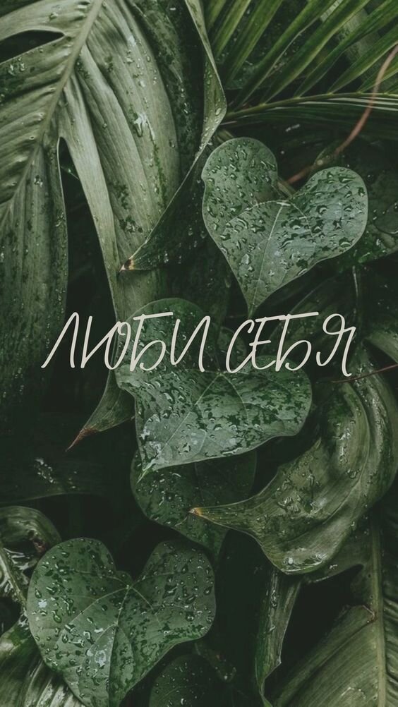Любовь прививают нам ко многим предметам, людям, событиям, но к самому себе выработать получается не у каждого. Так начни день с осознания трепета сначала к себе и своим краскам, после уже можешь поделиться с другими.