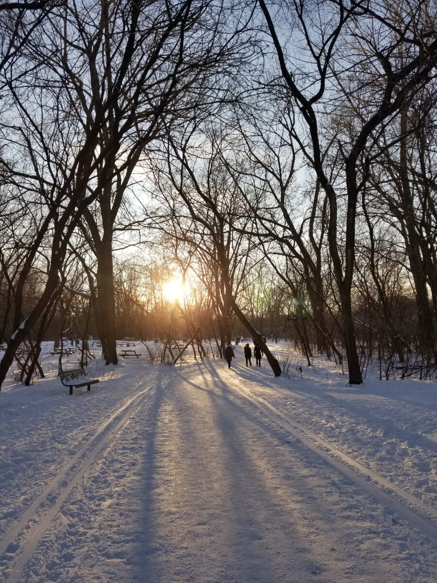 Источник информации: государственный сайт Канады