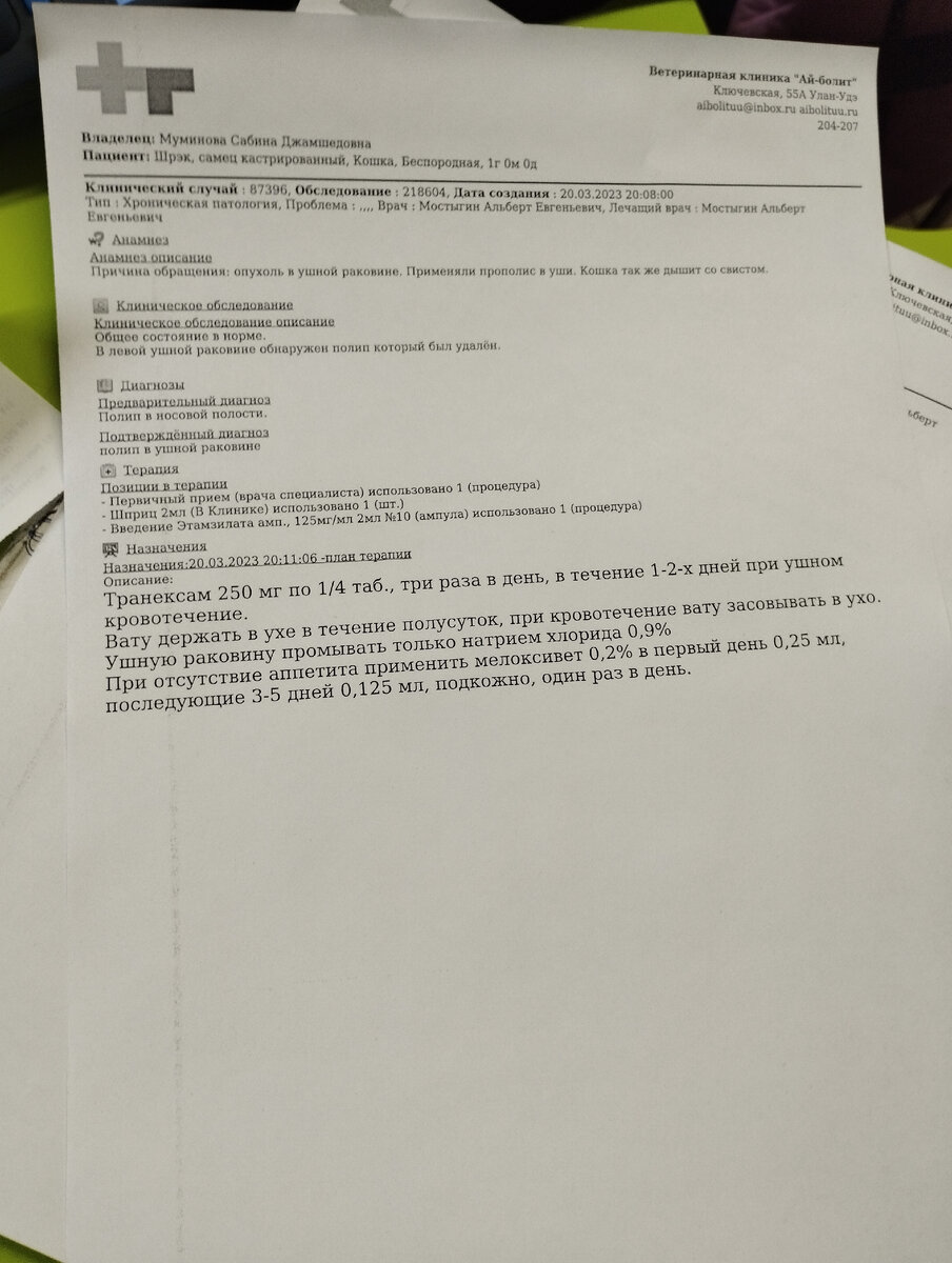 Выписка из Айболита