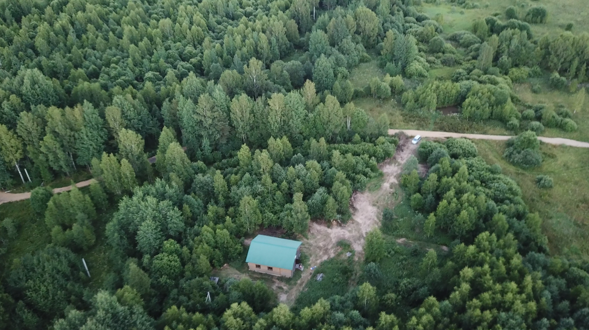 30 соток до расчистки.