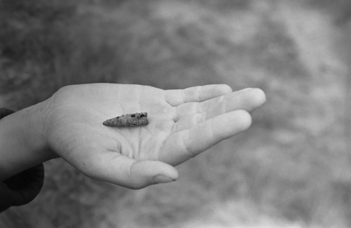Пуля, найденная в окрестностях деревни Хатынь (Белорусская ССР), уничтоженной 22 марта 1943 года карательным отрядом нацистов. © РИА Новости / Юрий Иванов