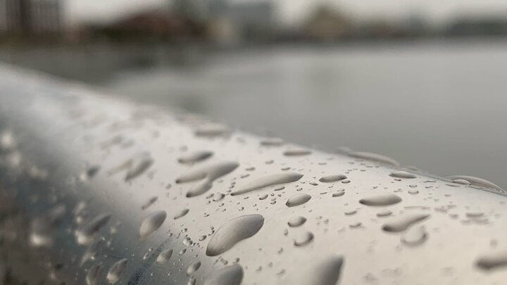 Фото: Царьград