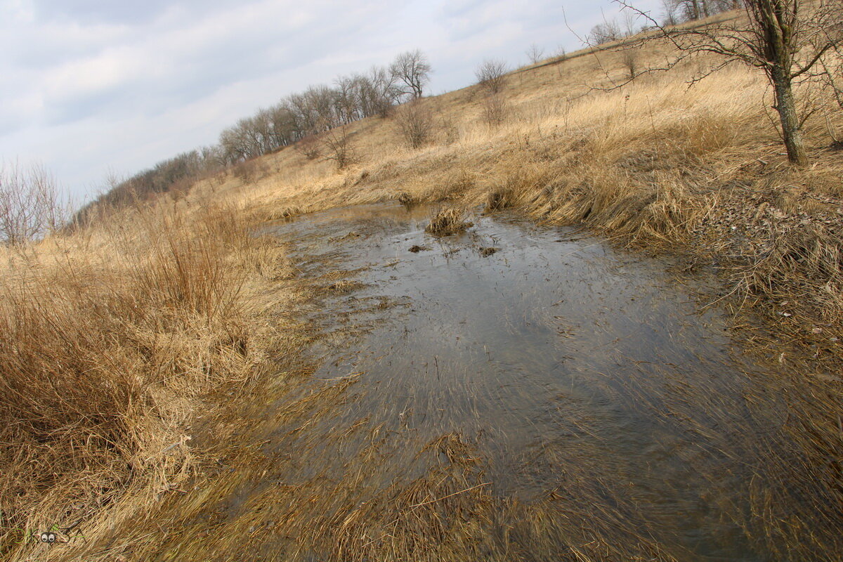 Река Полная в своем истоке