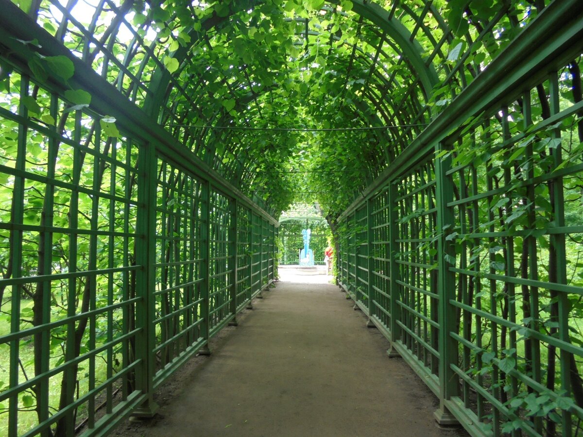 фото автора город Санкт-Петербург
