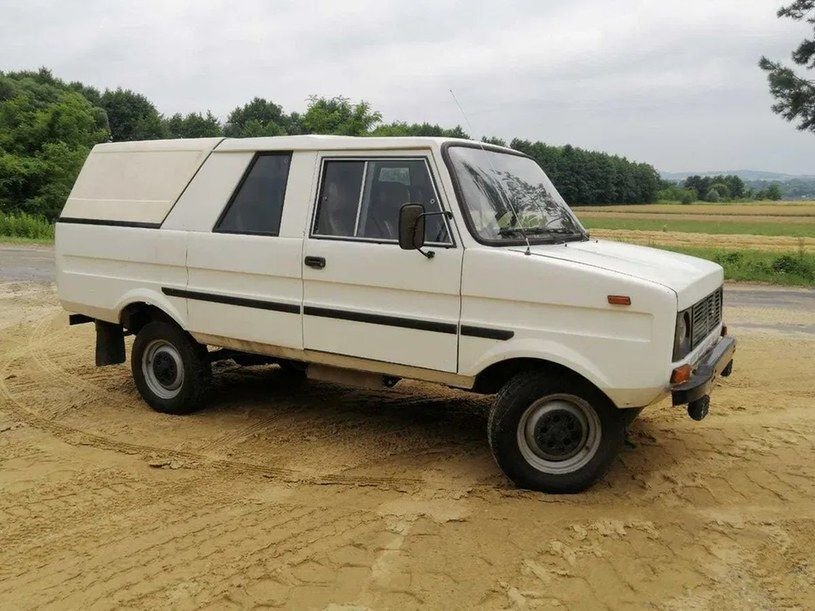      Tarpan - его называют худшим польским автомобилем