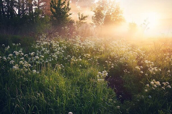 Мы привыкли думать, что смысл жизни – это нечто сложное и непостижимое...