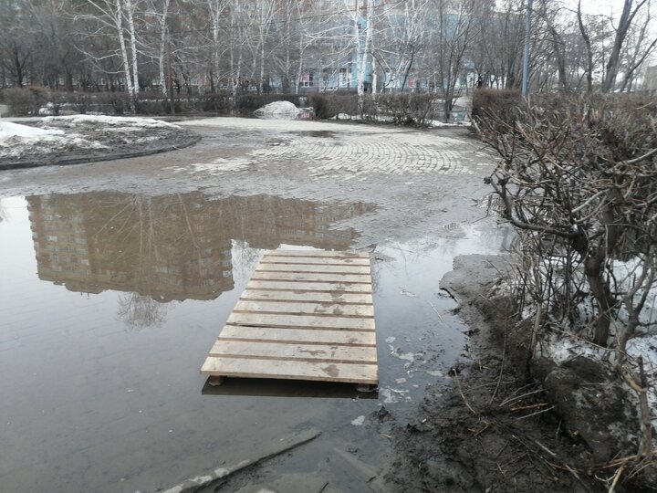     В центре сквера тоже положили, на всякий случай