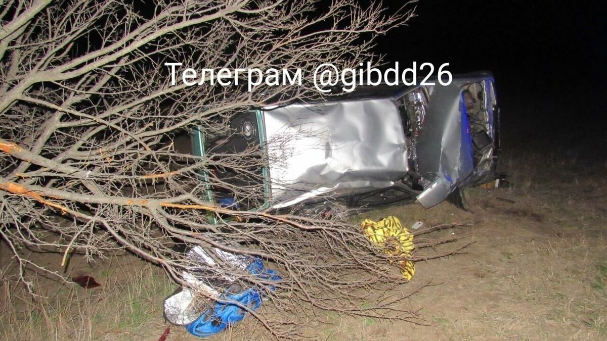     Авария произошла в ночь на 25 марта в Благодарненском округе Ставрополья. Прокуратура проводит проверку.