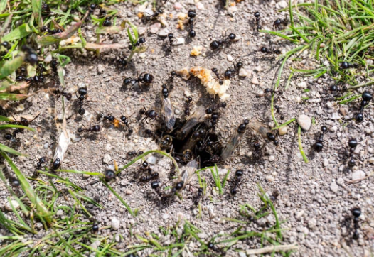 Добавьте описание