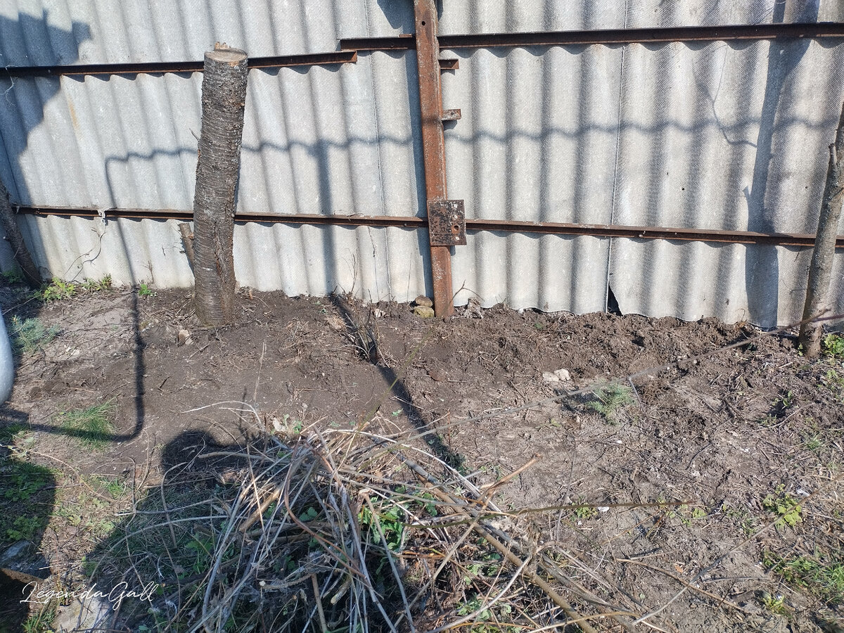 Почти чисто