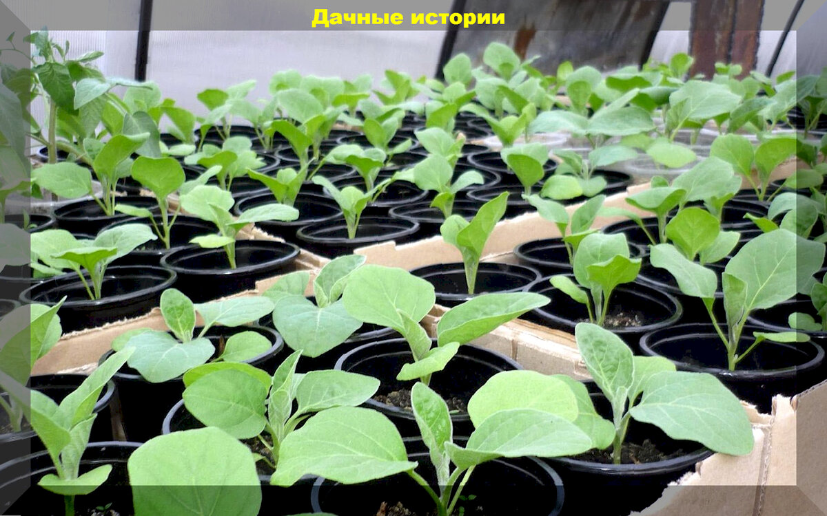 https://vk.com/photo-159774511_457259167